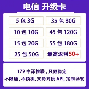 中泽179电信升级卡
