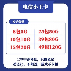 中泽电信179小王卡