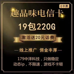 中泽趣品味电信卡19元月租